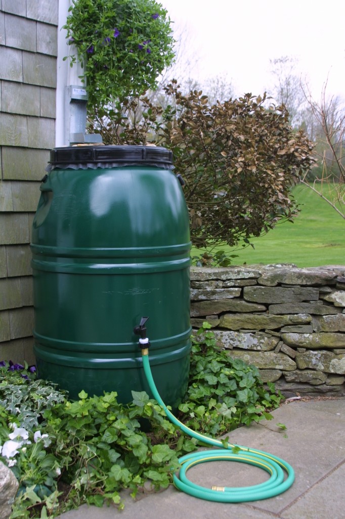 rain barrel for WNY gardens