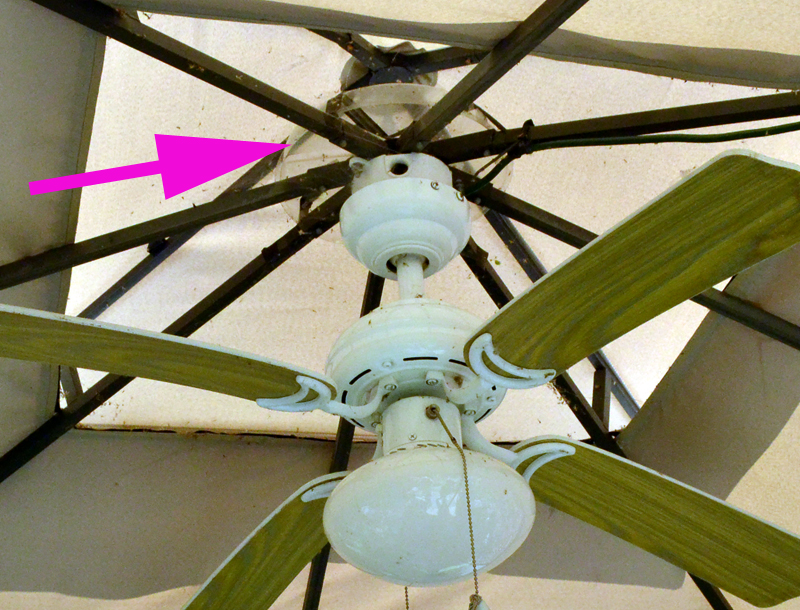 ceiling fan in gazebo in Buffalo NY | Buffalo-NiagaraGardening.com
