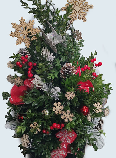 boxwood arrangement for Christmas at Mischler's in Williamsville