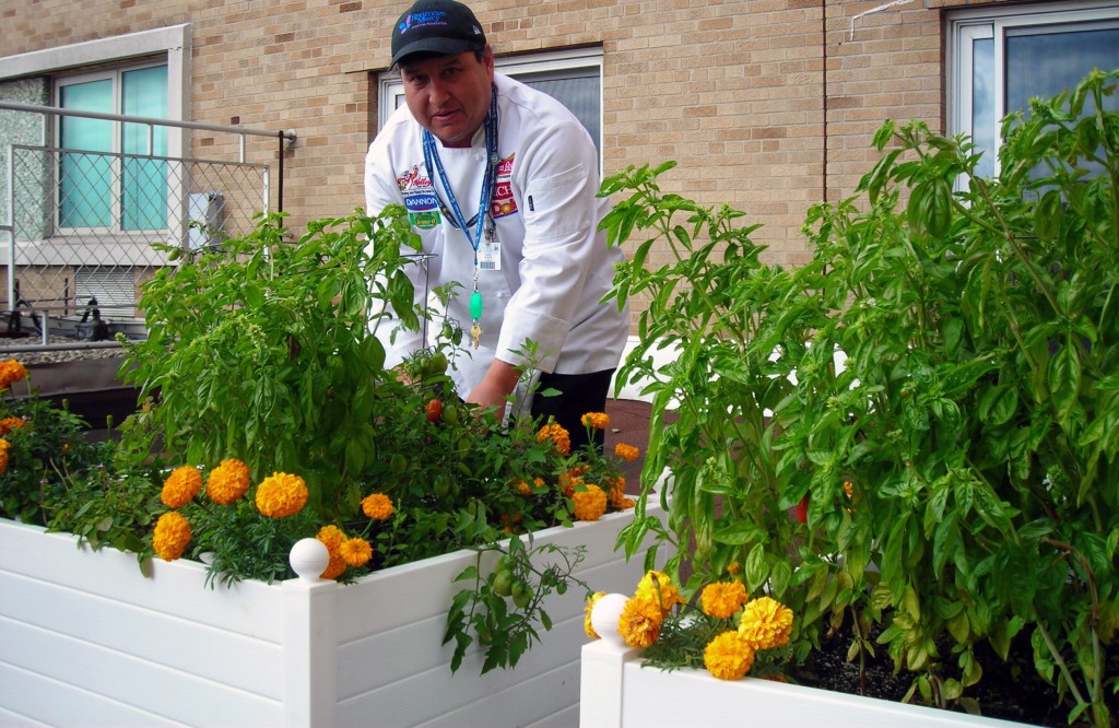 Hospital food gets zest with herb garden on roof of Kenmore Mercy