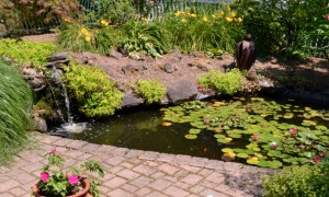 pond in Lockport NY during Lockport in Bloom