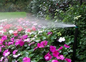 irrigate garden in Western New York