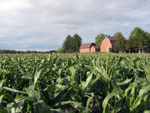 barn and fields by Eckhardt in Buffalo NY area