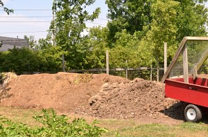 compost pile in West Seneca NY