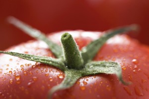 tomato from Microsoft