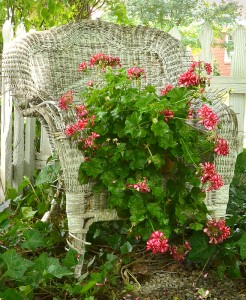 wicker chair as plant holder in Hamburg NY