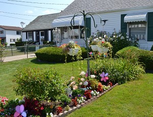 front garden on Esser in Buffalo NY