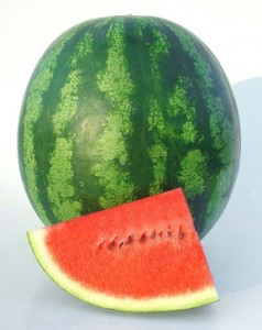 Watermelon ShinyBoy from National Garden Bureau
