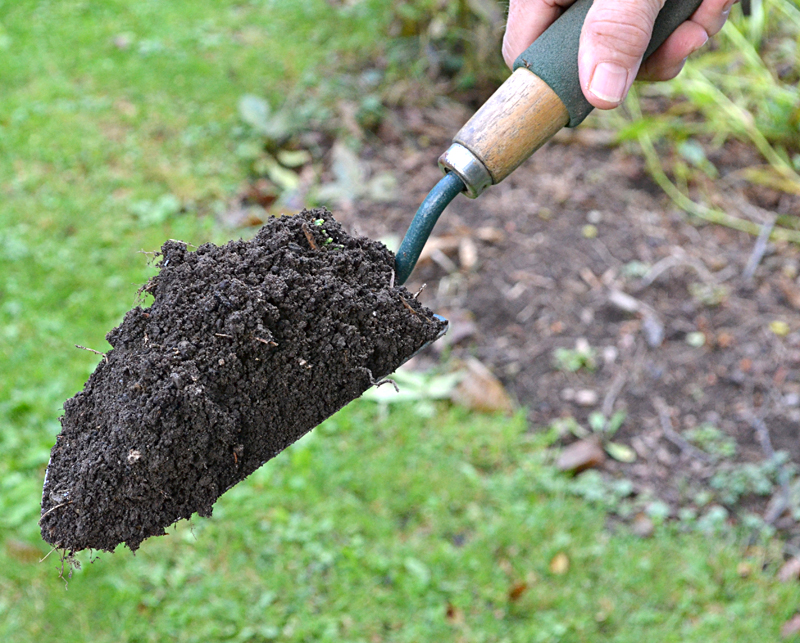 scoop of soil in garden trowel