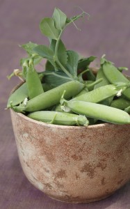 peas from BurpeeHomeGardens