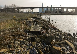 Outer Harbor Parcel in Buffalo NY(courtesy of D Gowen)