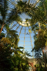dome at Botanical Gardens in Buffalo NY