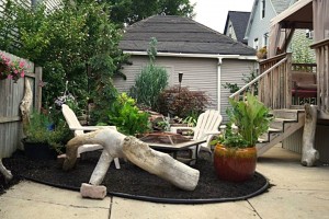 driftwood log forms informal seating in Buffalo NY