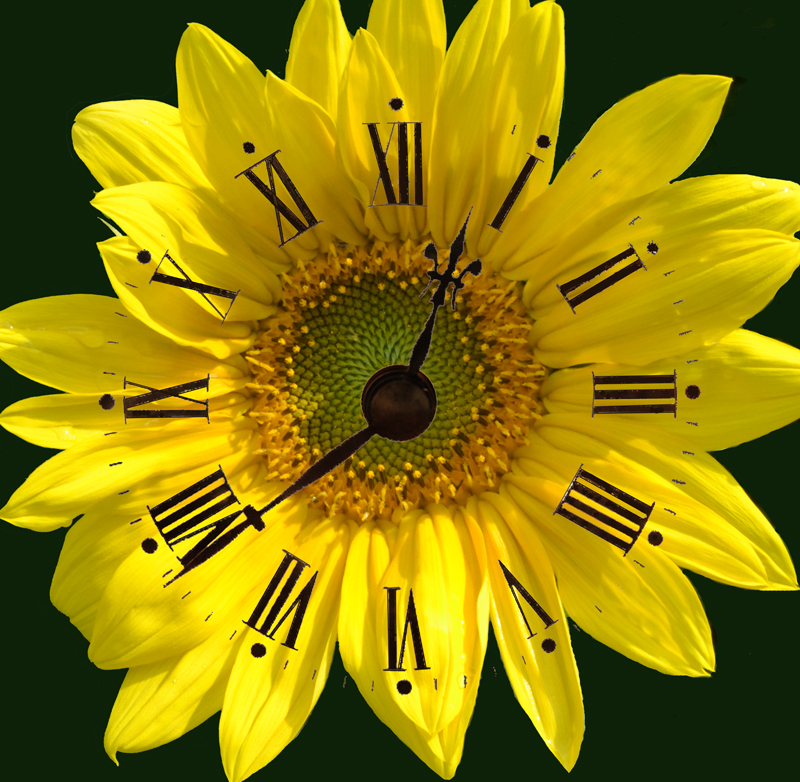 floral clock photo illustration by Connie Oswald Stofko
