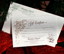 Gift Certificate from Mischler's