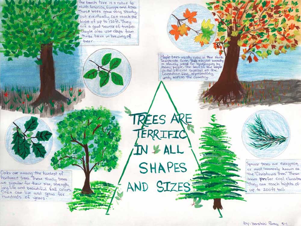 2012 Arbor Day school poster by Hershini Paray