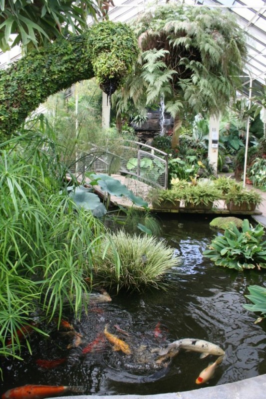 Buffalo and Erie County Botanical Gardens Greenhouse 2b