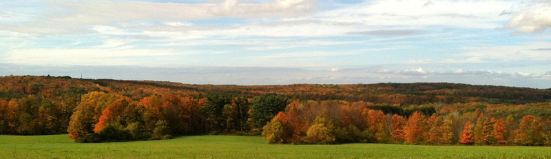 panoramic view of scenic overlook in Town of Aurora NY