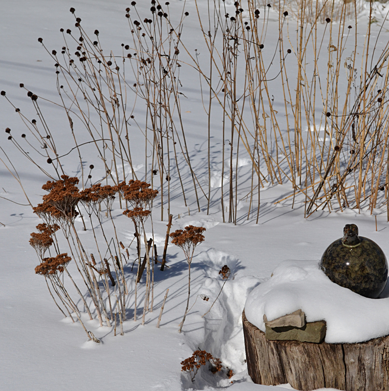 perennial garden in snow in Amherst NY