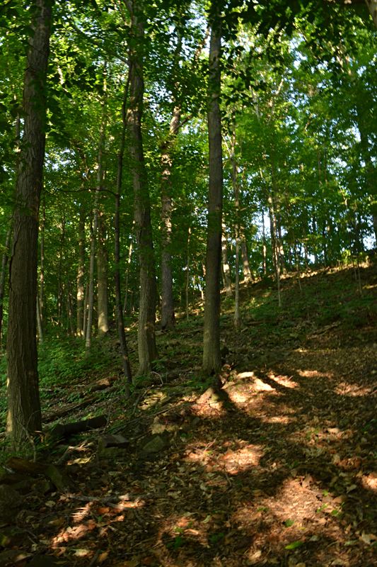 escarpment is backdrop for Lockport NY gardens