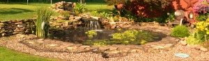 pond and waterfall in Amherst NY