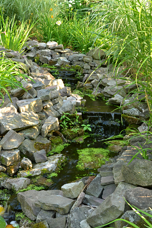 stream with waterfalls flows to pond in Lockport NY