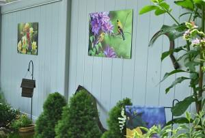 rugs displayed on fence as garden art in Lancaster NY