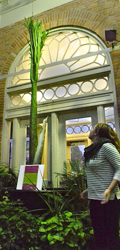 Kristy Blakely, director of Education at the Buffalo and Erie County Botanical Gardens, shows the leaf of the second Amorphophallus titanum plant at the Botanical Gardens during a tour for PLANT WNY. Photo by Connie Oswald Stofko  
