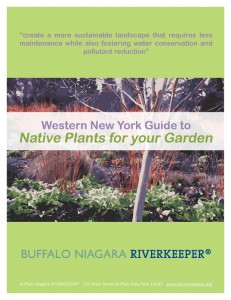 Native-Plant-Guide from Buffalo Niagara Riverkeeper