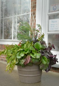 back view of perennial planter at Mischler's in Williamsville NY
