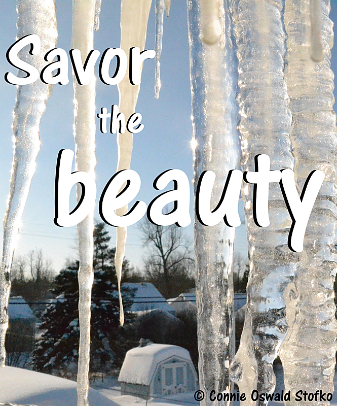 savor the beauty poster copyright Stofko