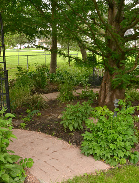 path in garden around tree in Amherst NY