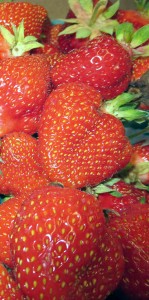 strawberries-from-Goodman's-Farm-Market 