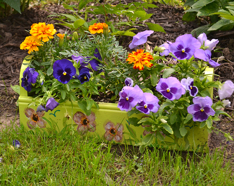 wooden box holds annuals in Lockport