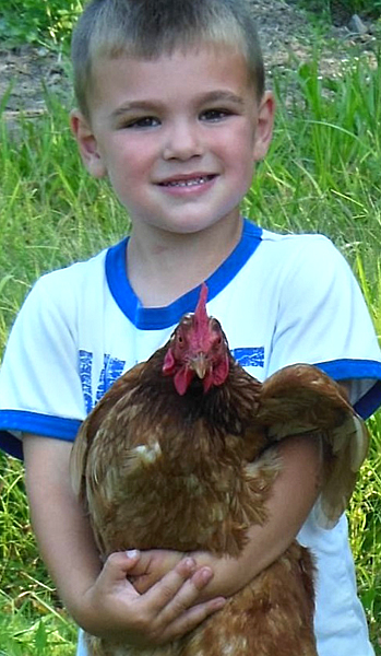 boy holding a Rhode Island Red hen