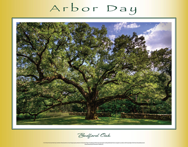 Arbor Day poster 2015