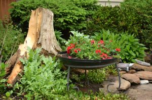 fire pit used as a planter in Lancaster NY