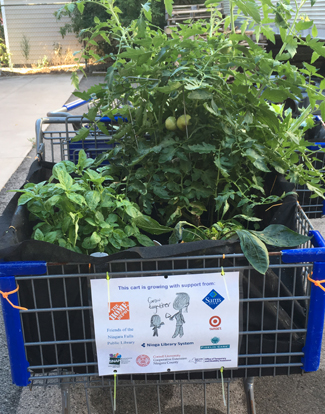 tomato plants grown in shopping cart