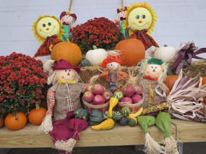 autumn display with pumpkins