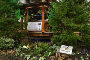 Chevalier Outdoor Living and Buffalo Treehouse landscape display in Hamburg NY