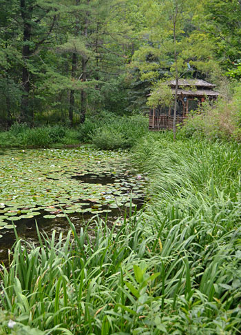 pond in Holland NY on Open Gardens
