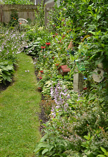 garden between house and fence in Hamburg, NY