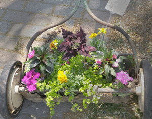 container garden with flowers in old push lawn mower