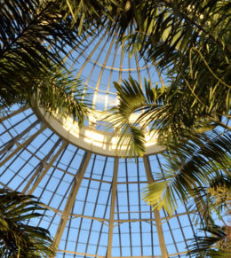dome at Buffalo and Erie County Botanical Gardens
