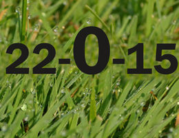 grass with numbers representing zero phosphorus in fertilizer