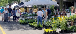 vendors at Lewiston GardenFest