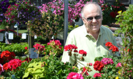 David Mischler at Mischler's Florist and Greenhouses in Williamsville