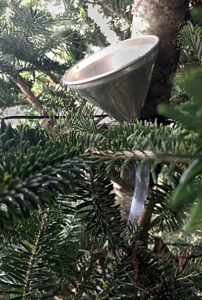 funnel to water Christmas tree