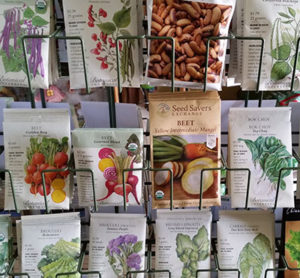 seeds at Urban Roots in Buffalo