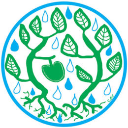 illustration of plants catching rainfall
